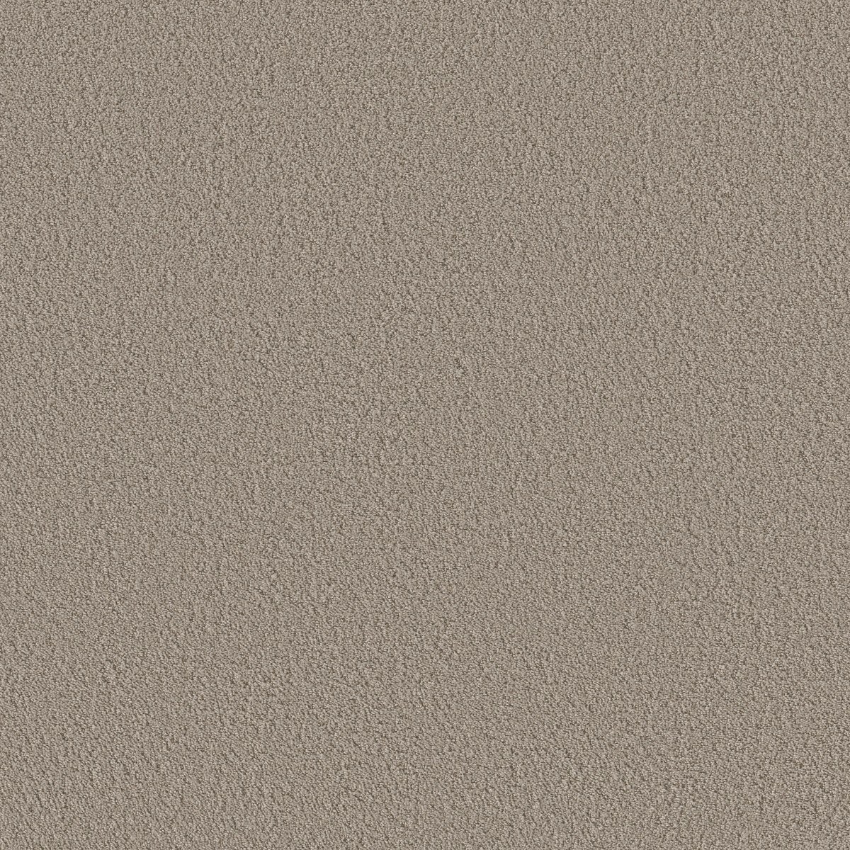 AERIAL VIEW — ARTISAN TAUPE