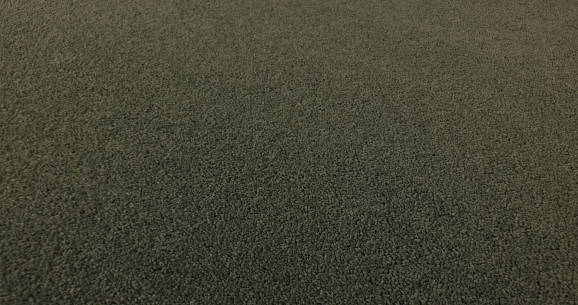 SMOOTH TONE BLUE OLIVE TREE 360PROD