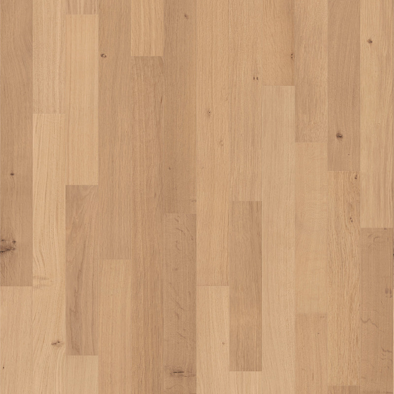 NATURAL CLASSICS WHITE OAK 3" in Natural White Oak by Shaw Floors