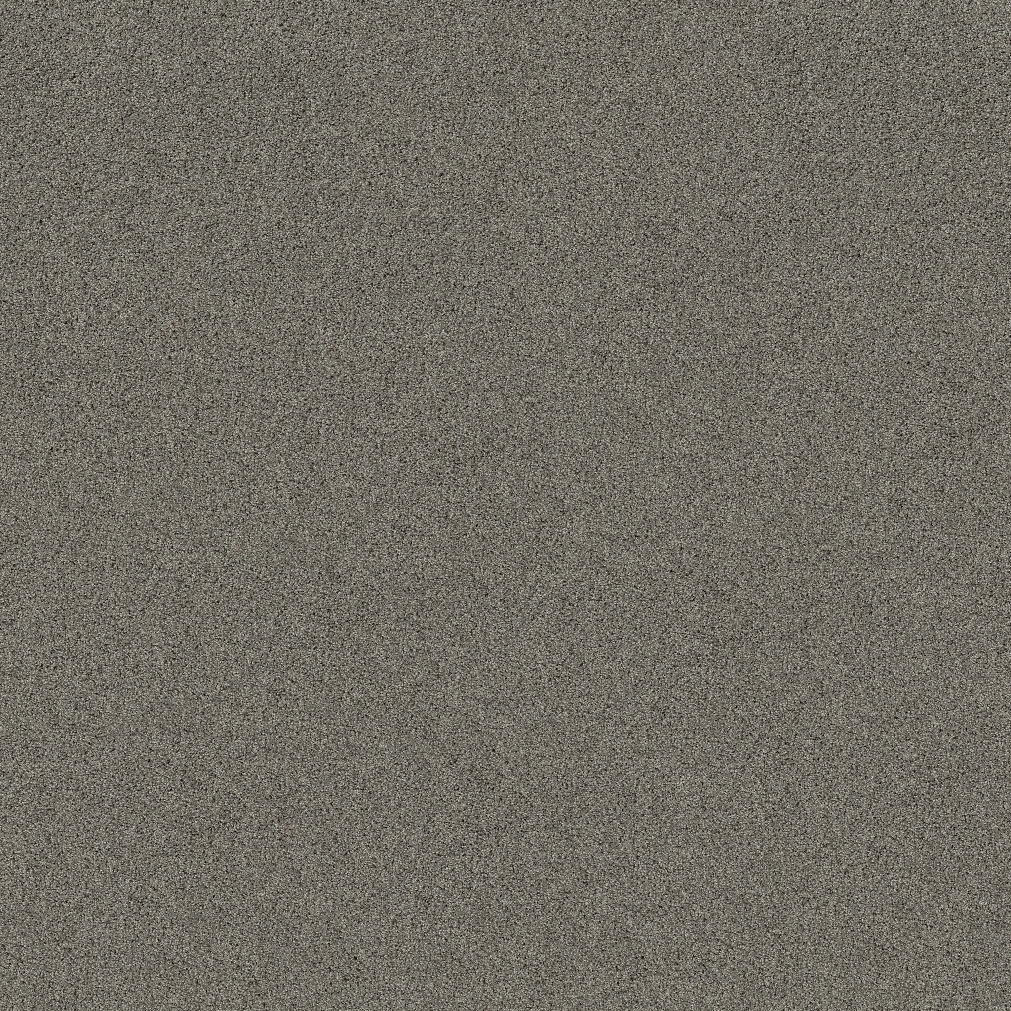 PARK HAVEN DRIFT MAIN