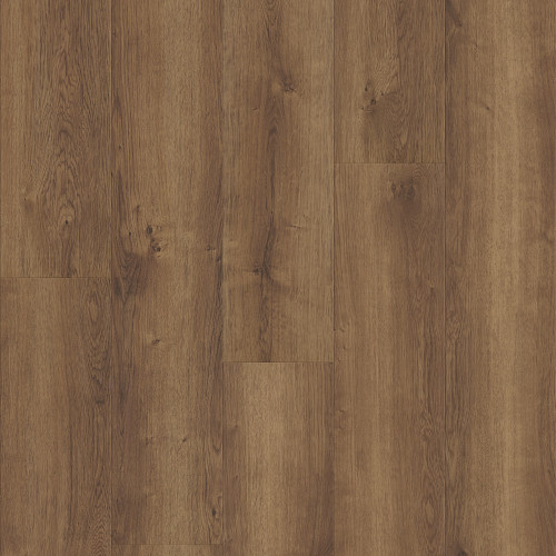 Monterey Oak