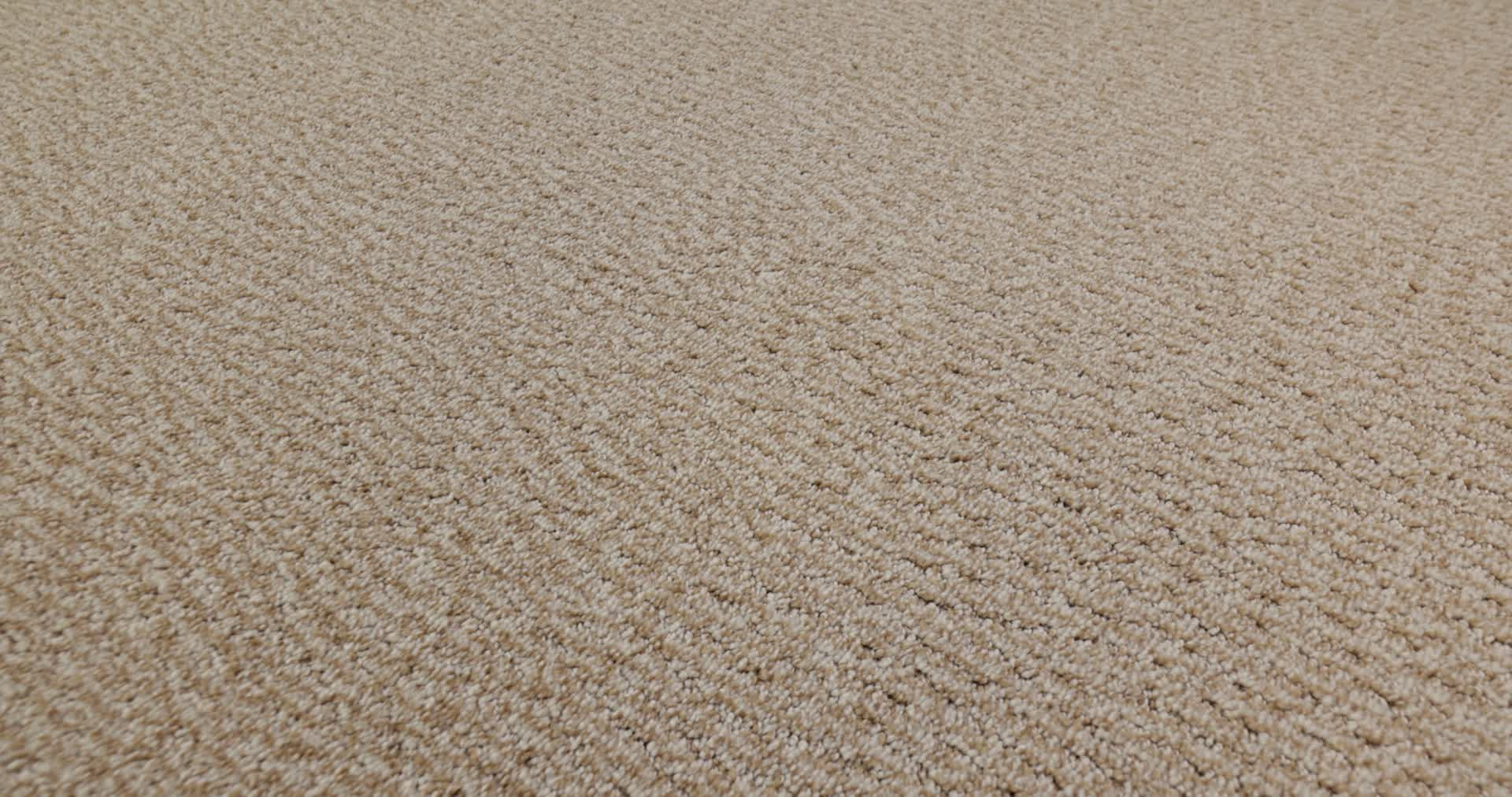 FUR-EVER OLD COUNTRY 360PROD