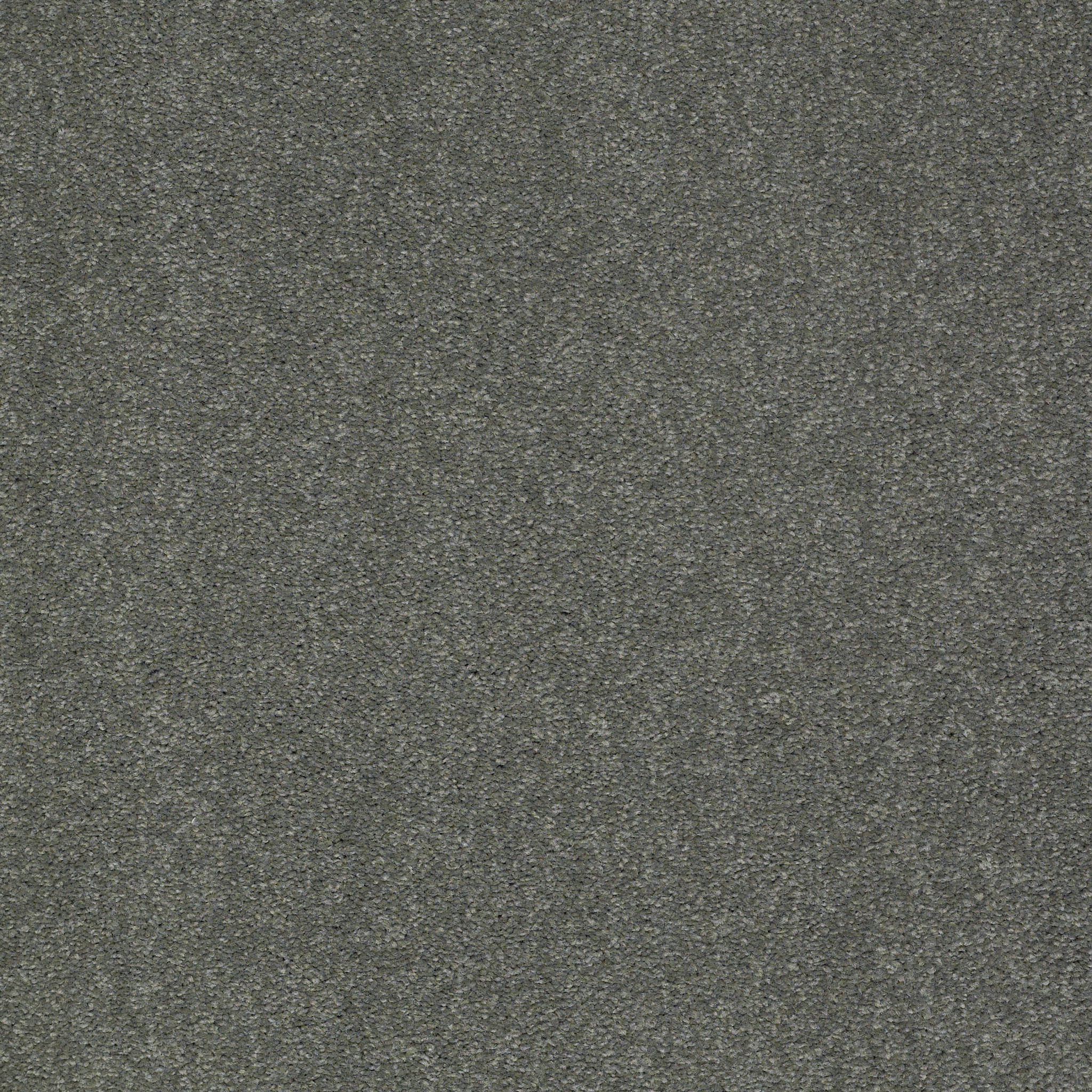 SHINGLE CREEK III 15' BAHAMA BAY MAIN