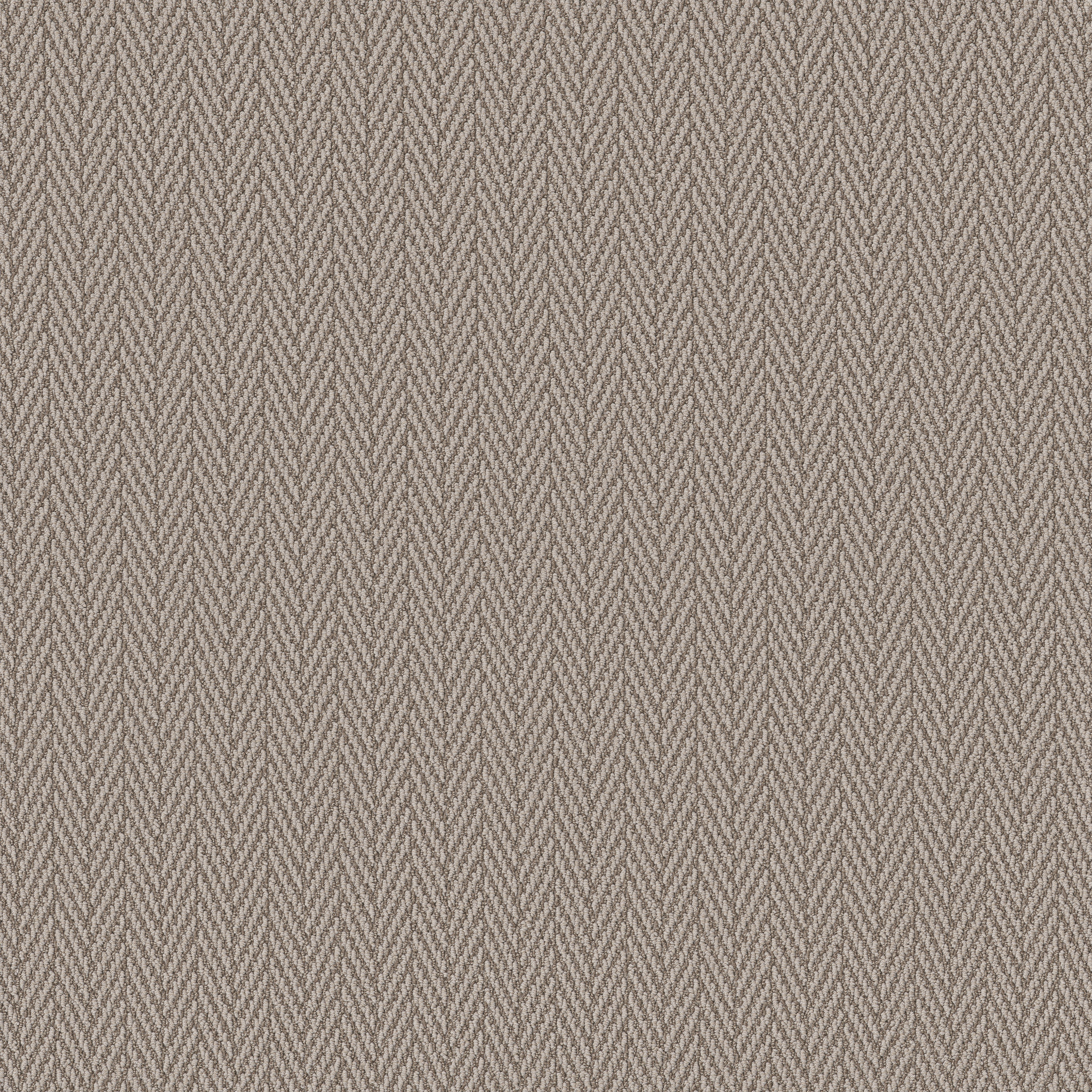 ALWAYS NATURAL FOSSIL MAIN