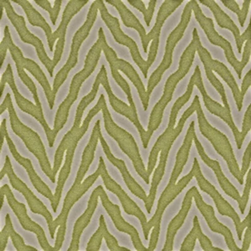 Zesty Zebra 54535