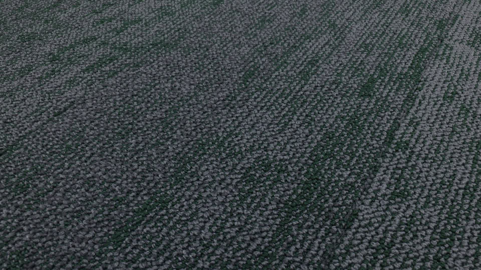 Boundless Tile Forests Rotation360