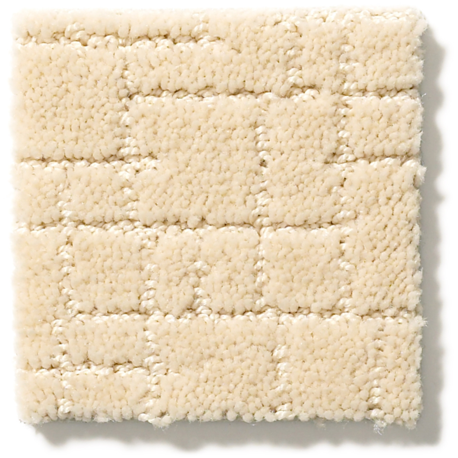 FAUX PAW ANTIQUITY SWATCH