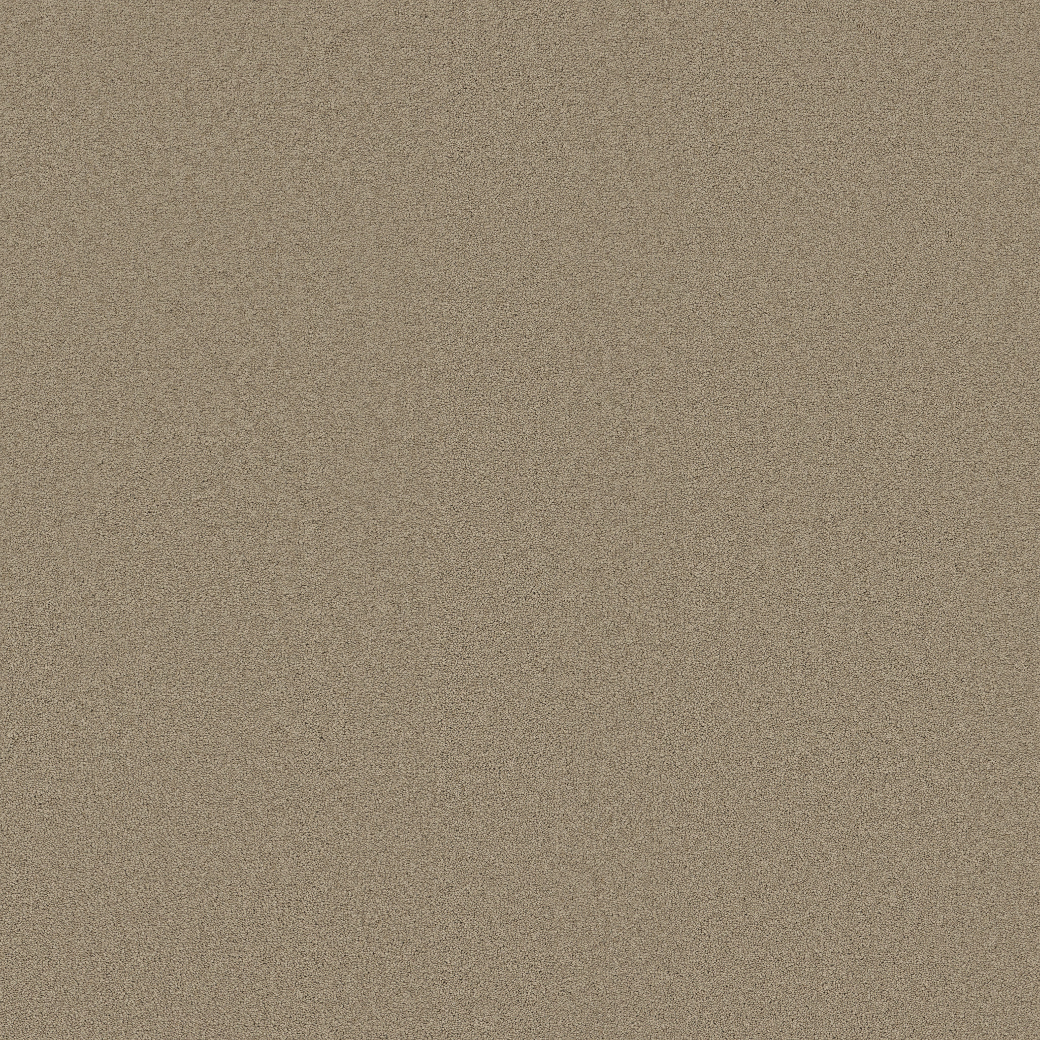 TIMELESS APPEAL I 12' SWEET CREAM MAIN