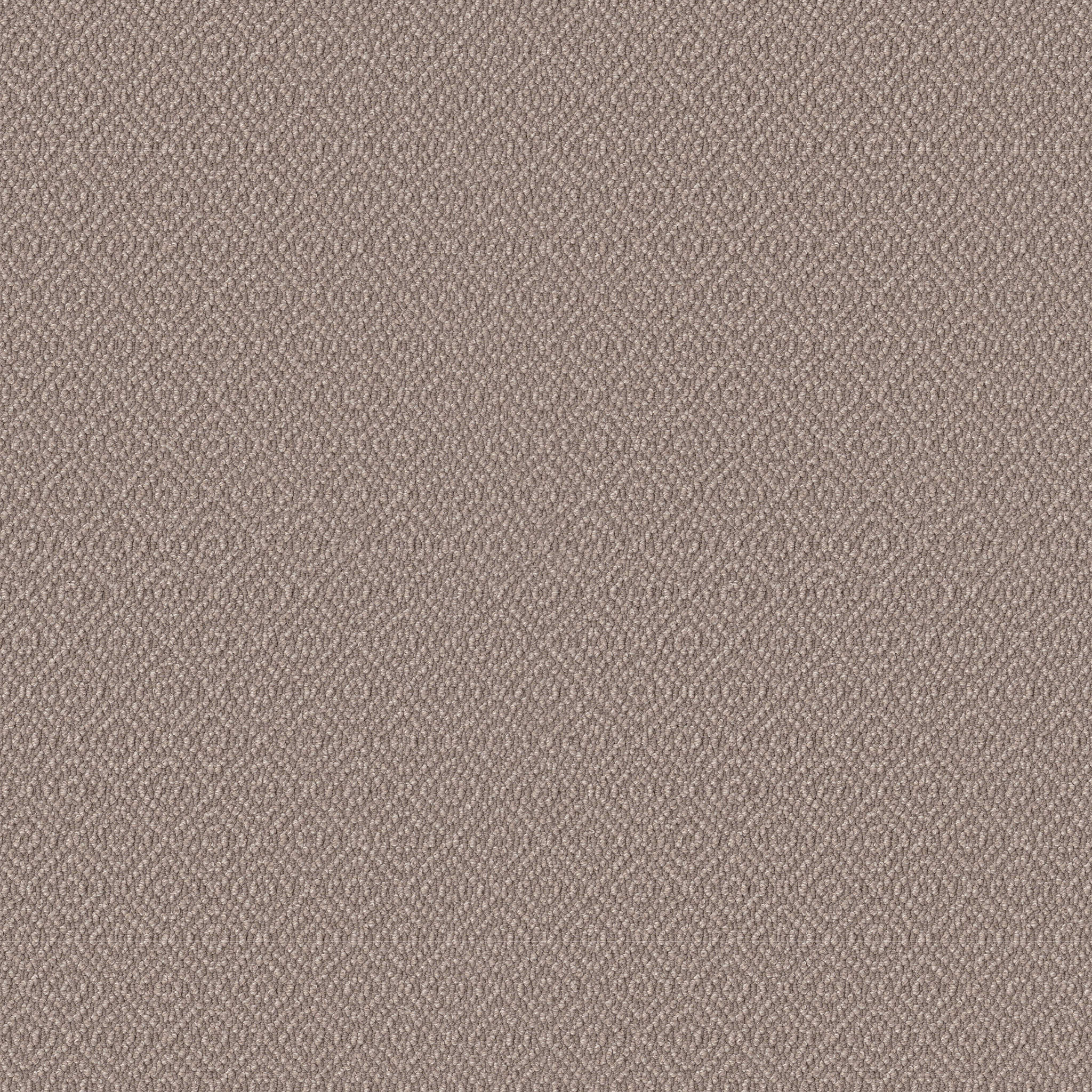 STROLL CREEKBED MAIN