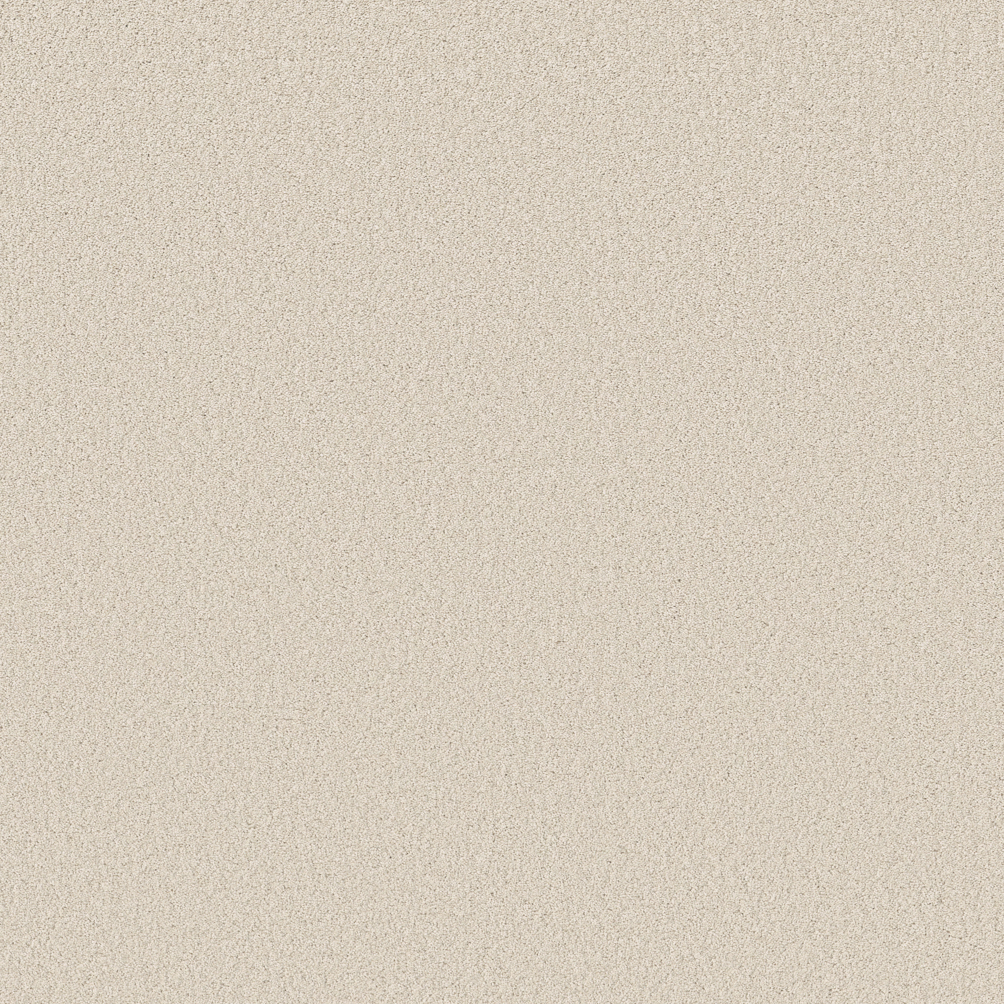 VELVET TOUCH II NATURAL MAIN