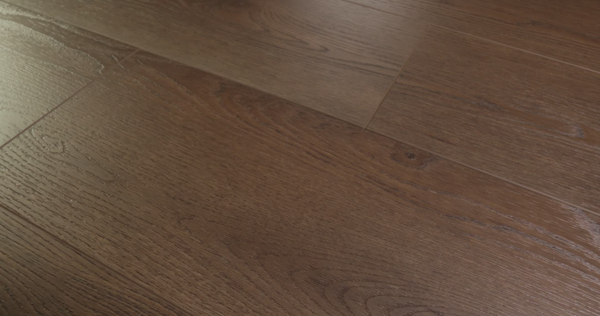 HOMEWARD MIDNIGHT MOCHA 360PROD