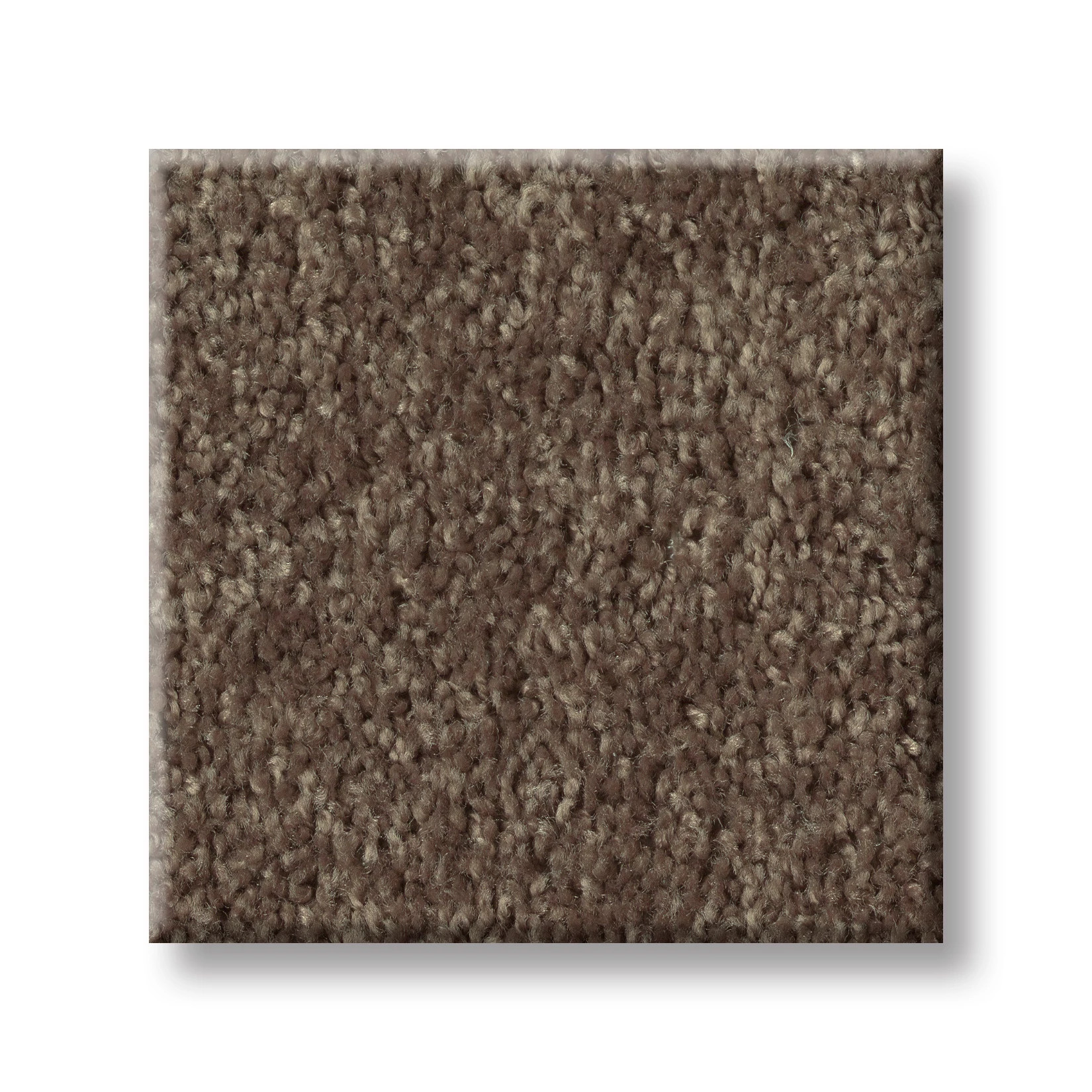 ALL STAR WEEKEND III 15' MOLASSES SWATCH