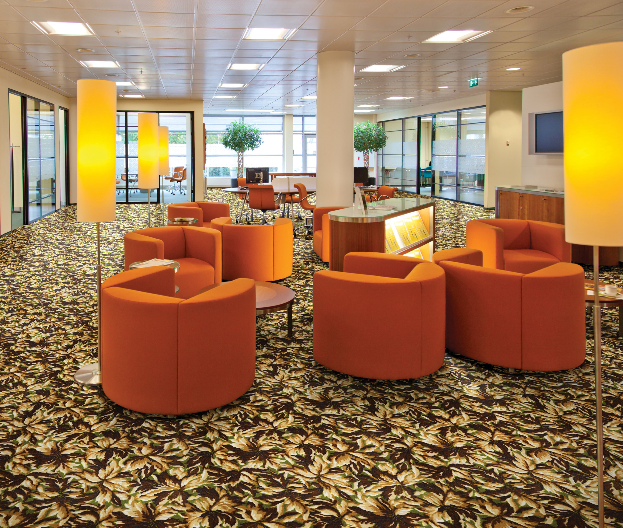 NEW BAY 54705 HAWTHORN 05700 room image