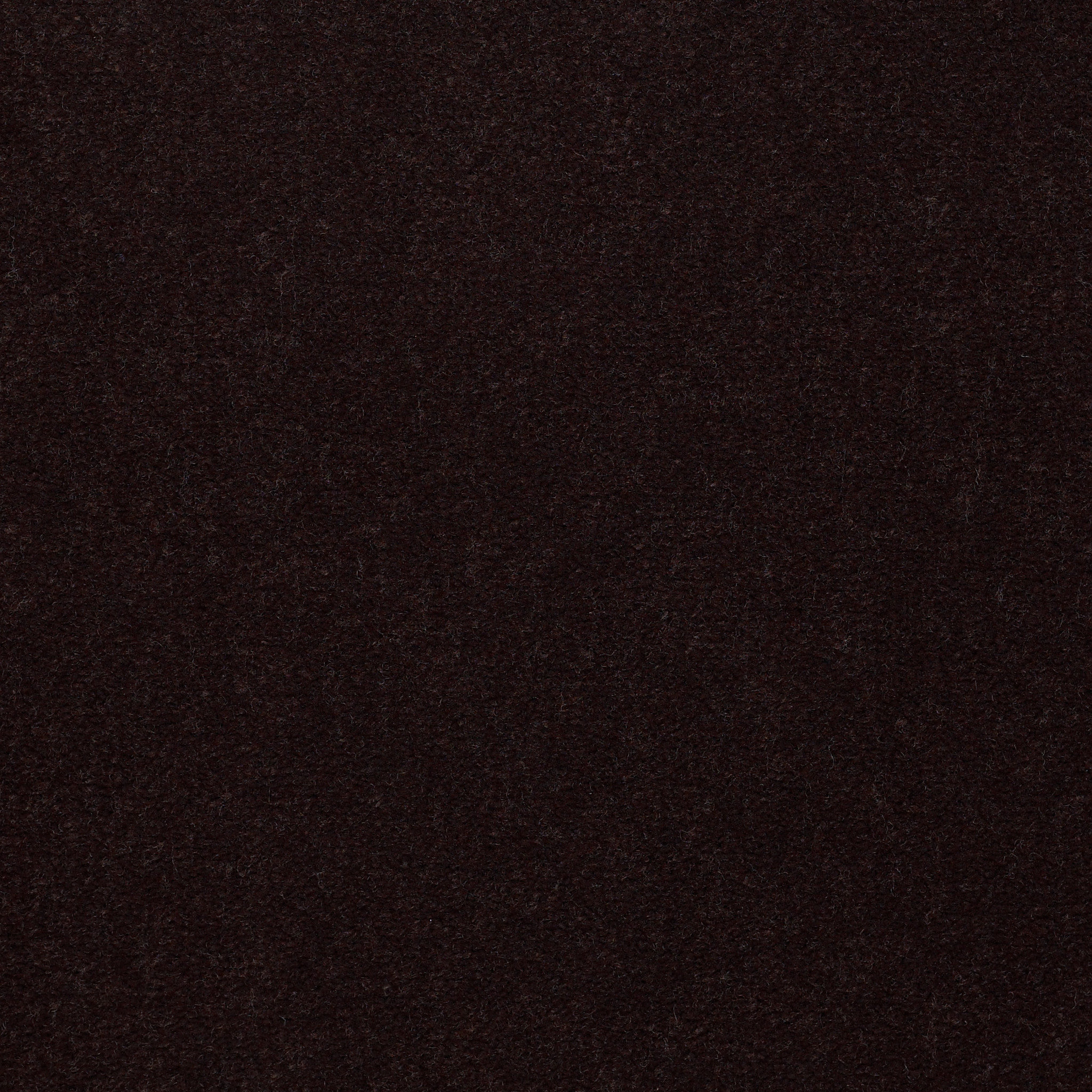 EMPHATIC-II-30-54255-COFFEE-BEAN-56731-main-image