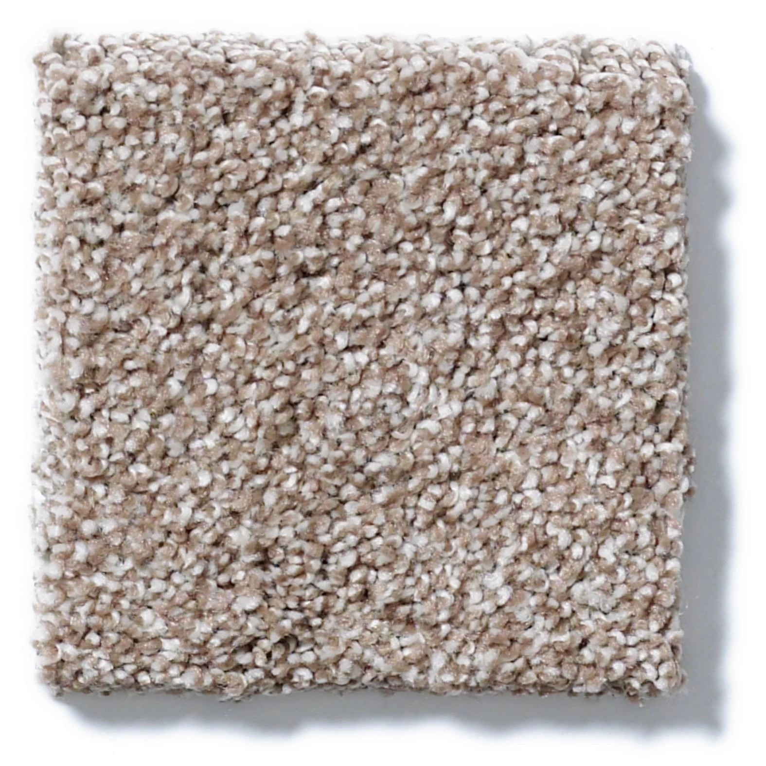 ALWAYS READY I SUMMERVILLE SWATCH