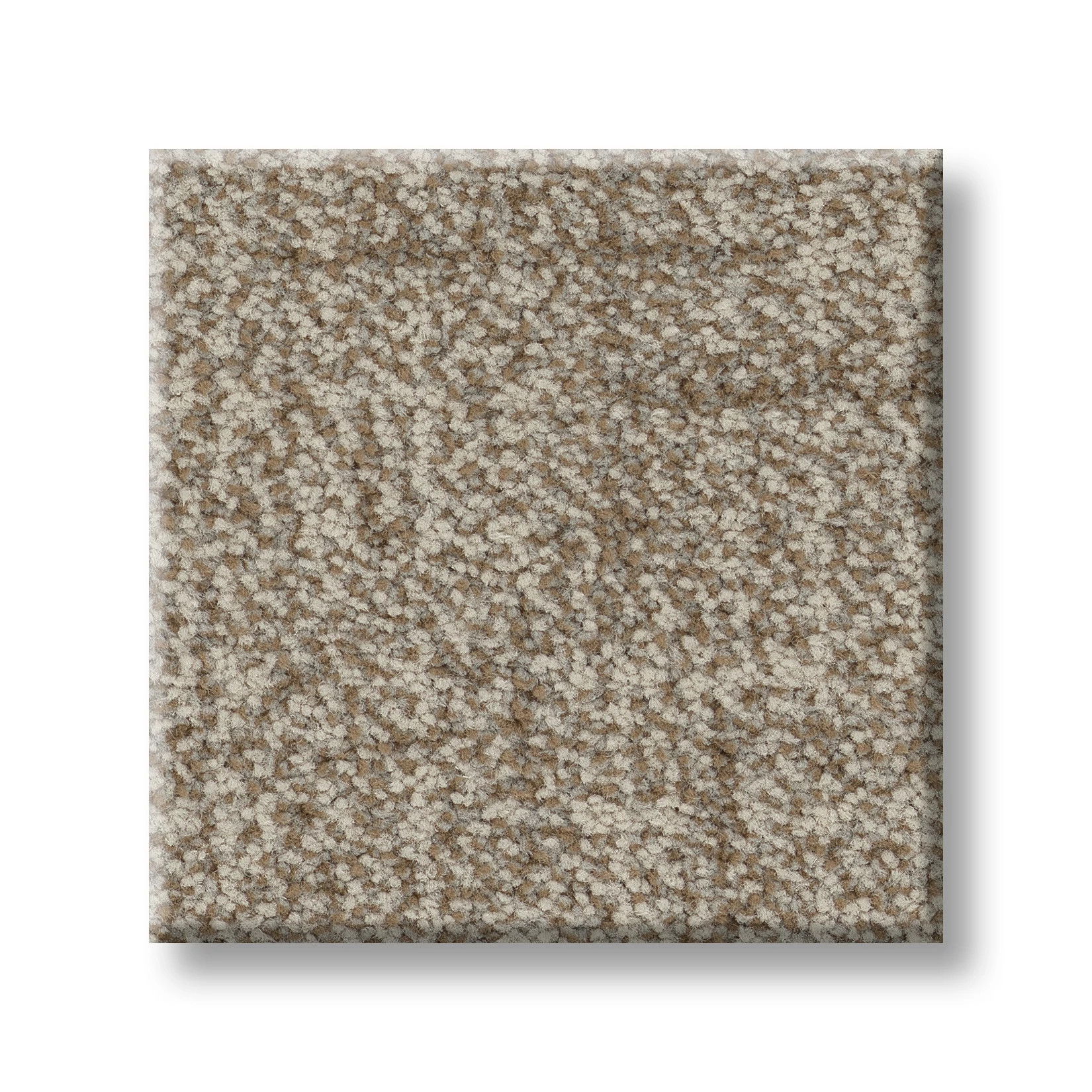 SILHOUETTE BARN OWL SWATCH