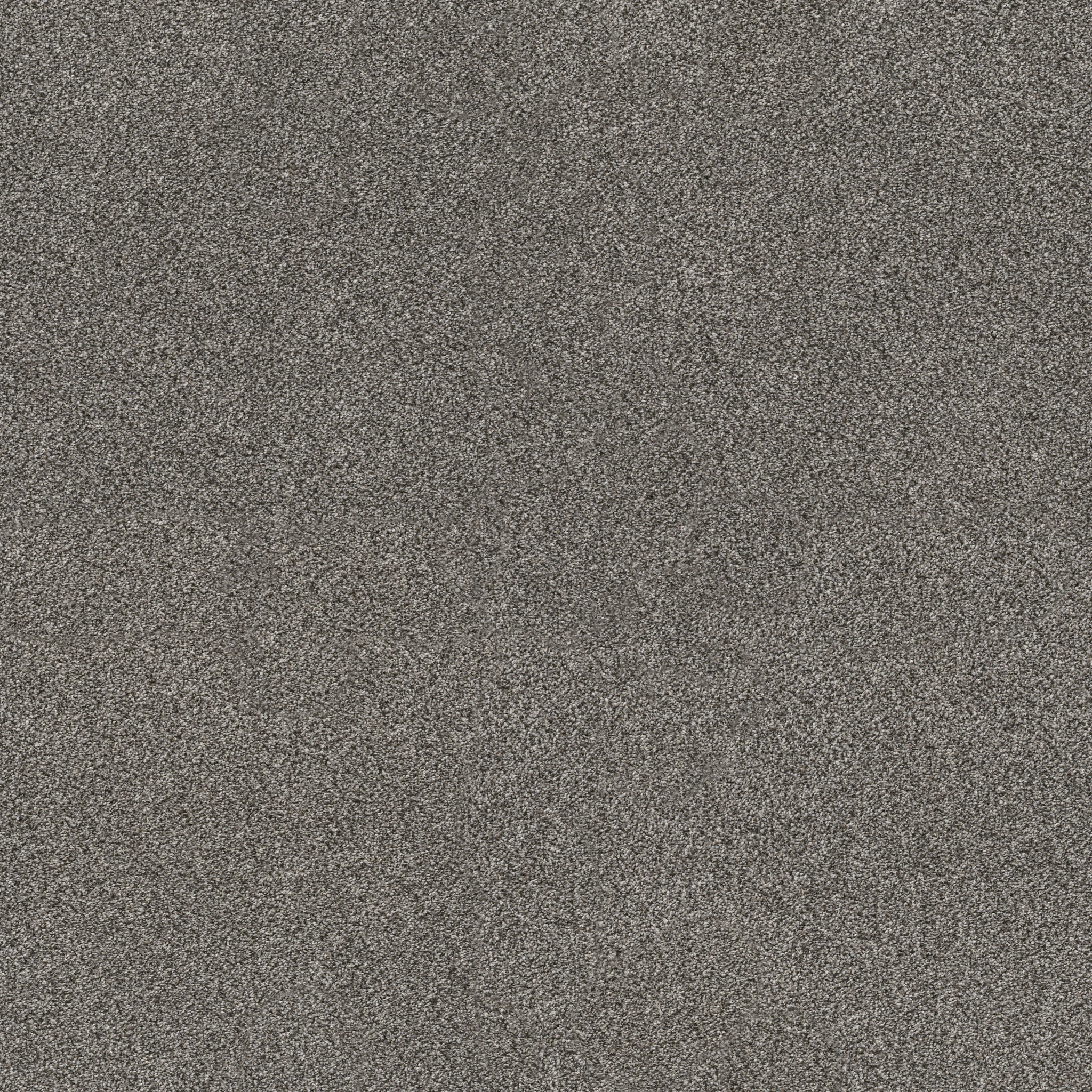 Truspirit Ii - Quarry Carpet | Shaw Floors