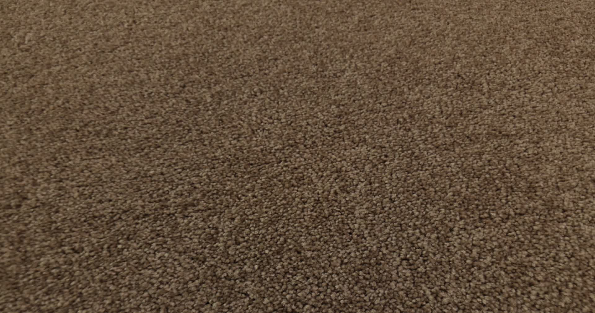 LOOK FORWARD ACORN 360PROD