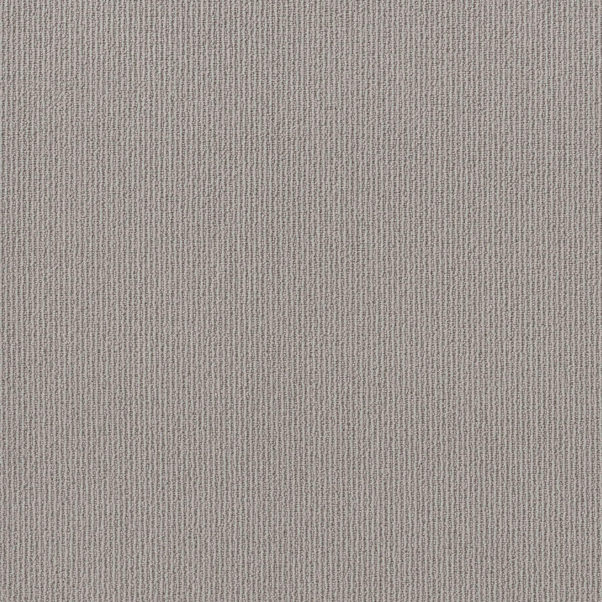 FEISTY STONE PATH MAIN