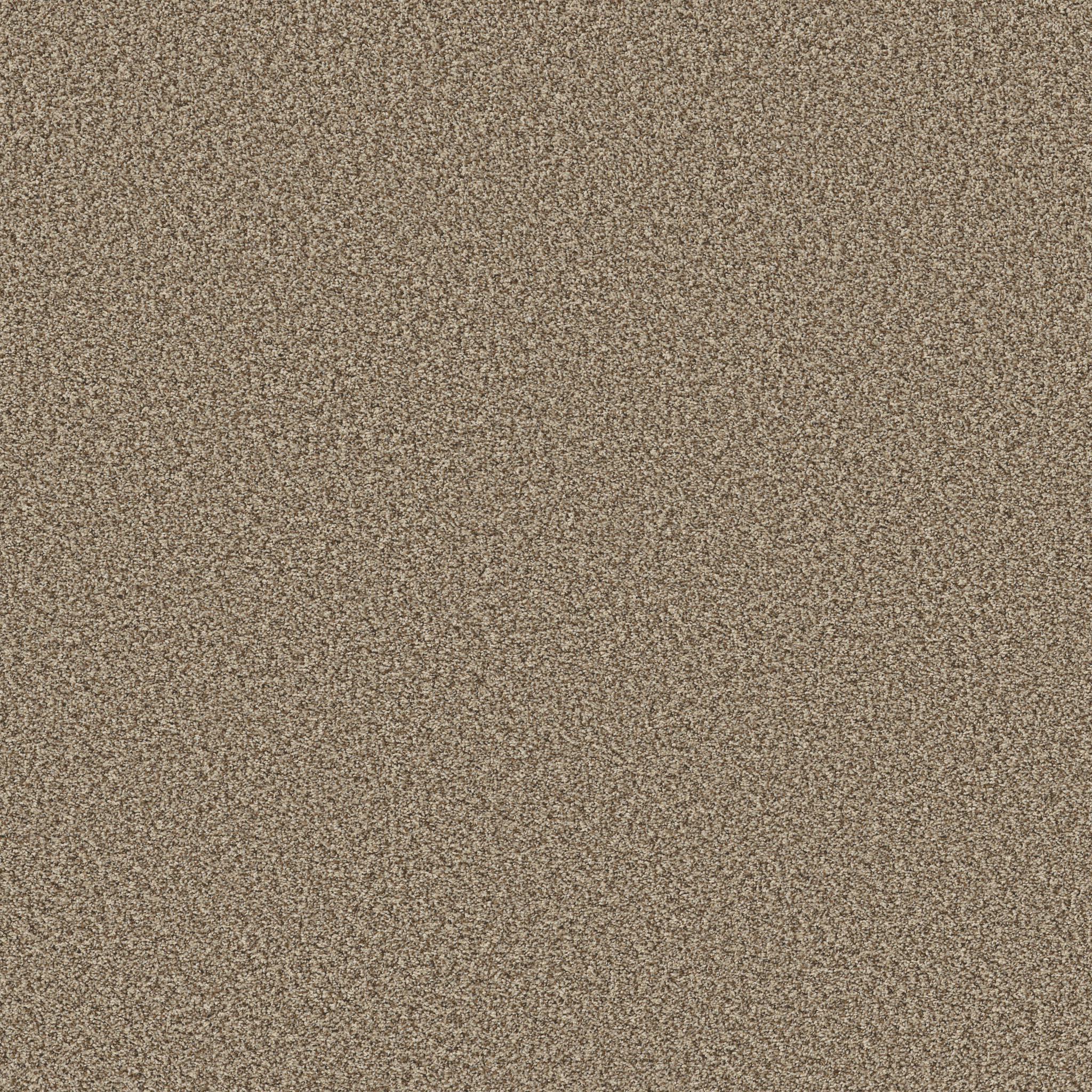 PRESCOTT VALLEY ROASTED MAIN