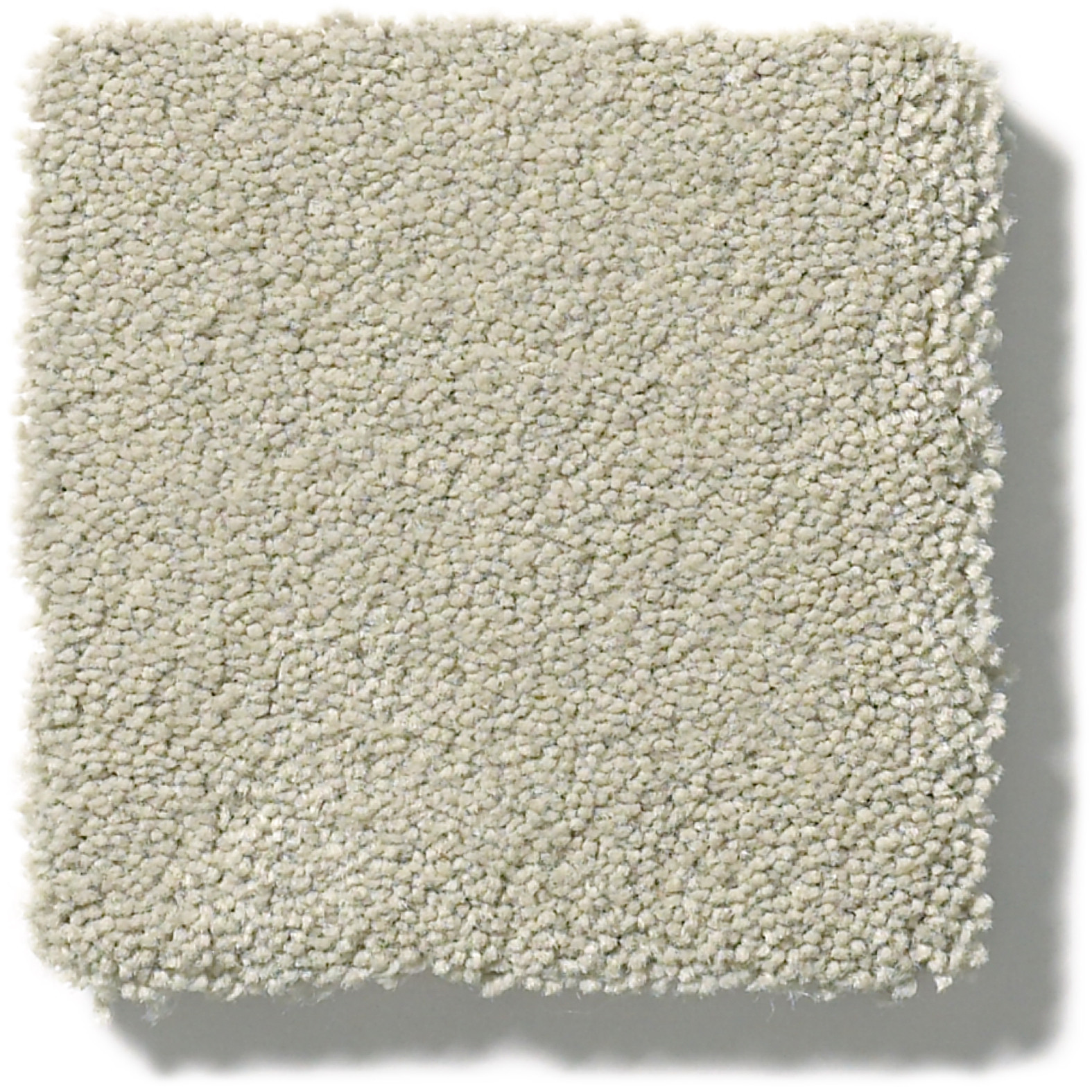 PERFECT CHOICE AIRSHIP SWATCH