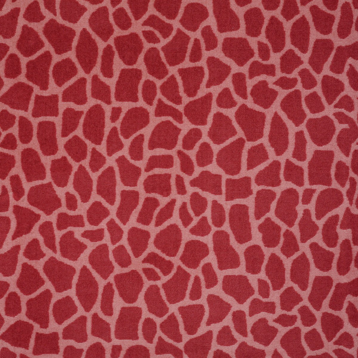 GIRAFFE — GIRLY GIRAFFE