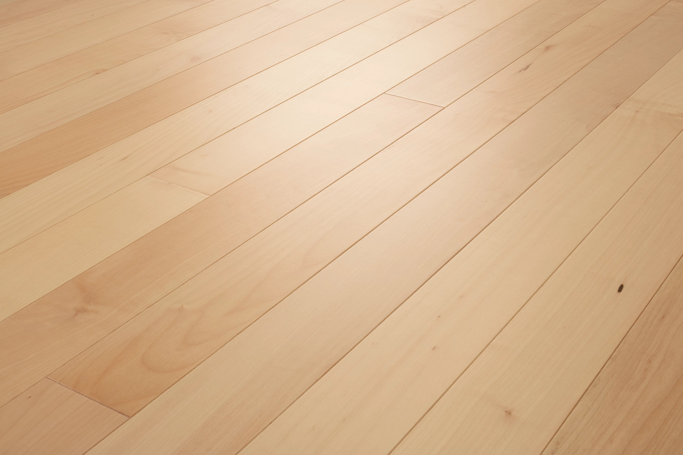 Natural Hard Maple swatch