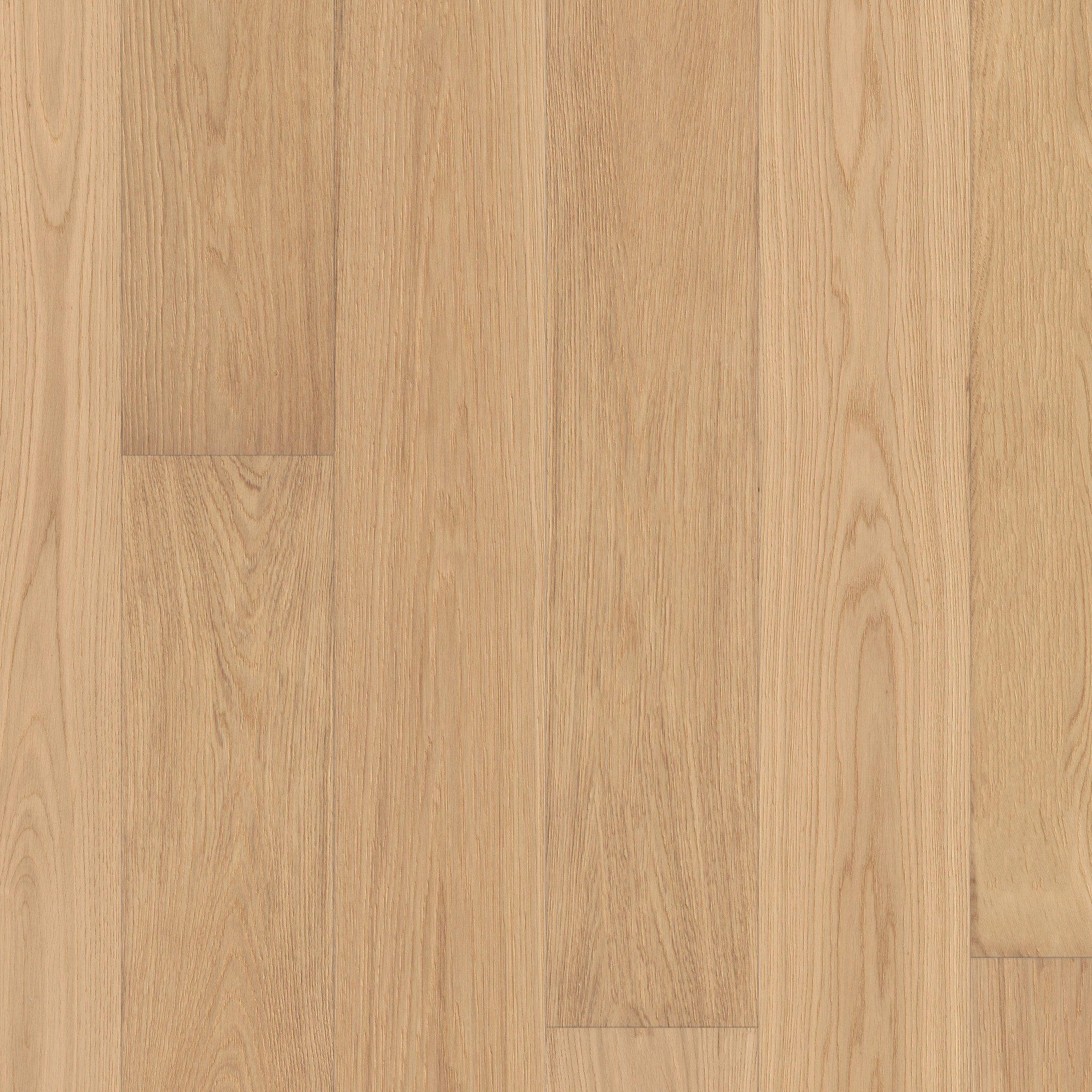 CARPENTRY OAK SUNLIT MAIN