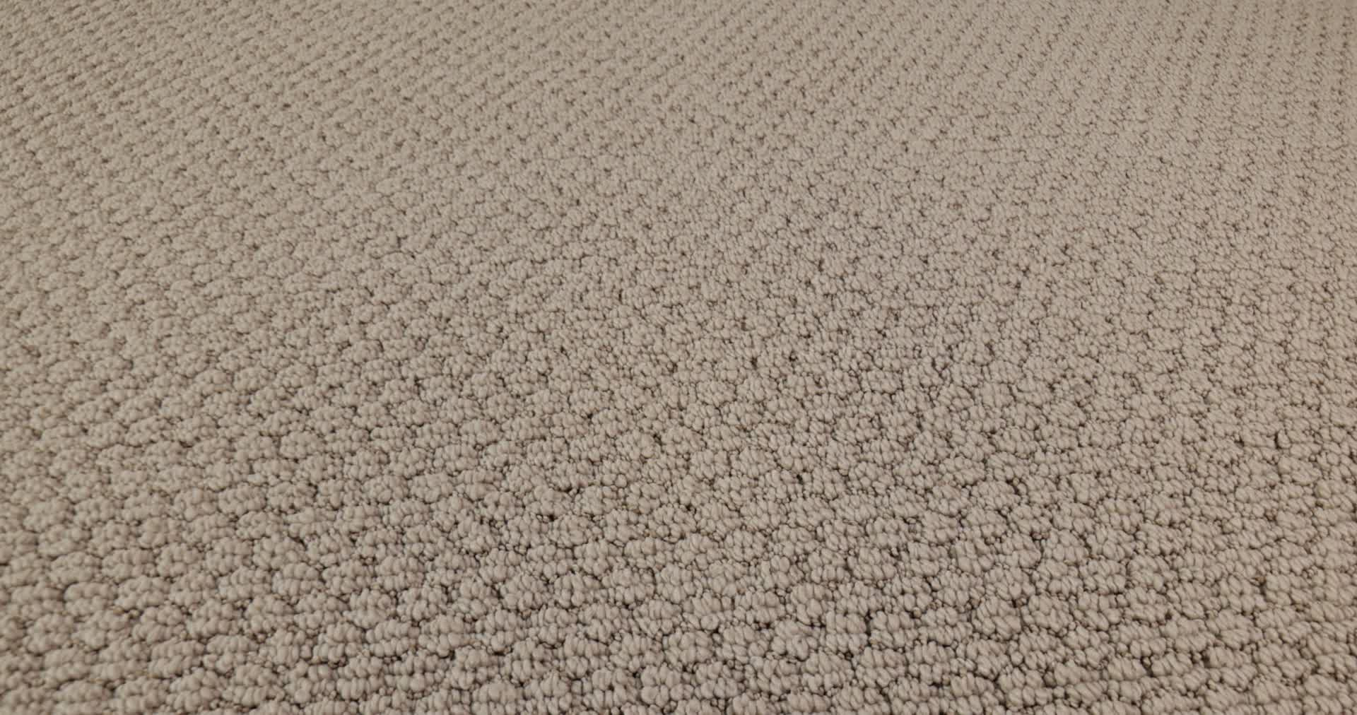 AG In The Loop PALE BEACH 360PROD