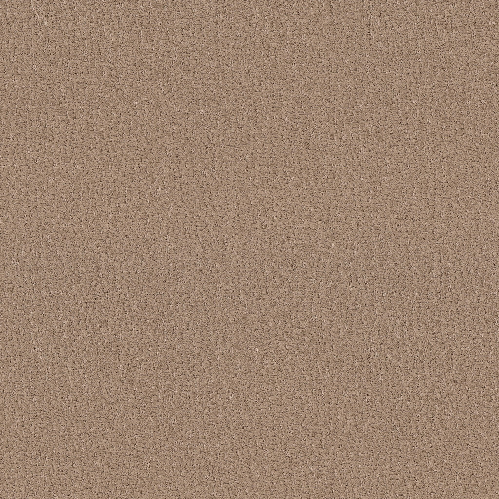 STUDIO SET WORN PATH MAIN