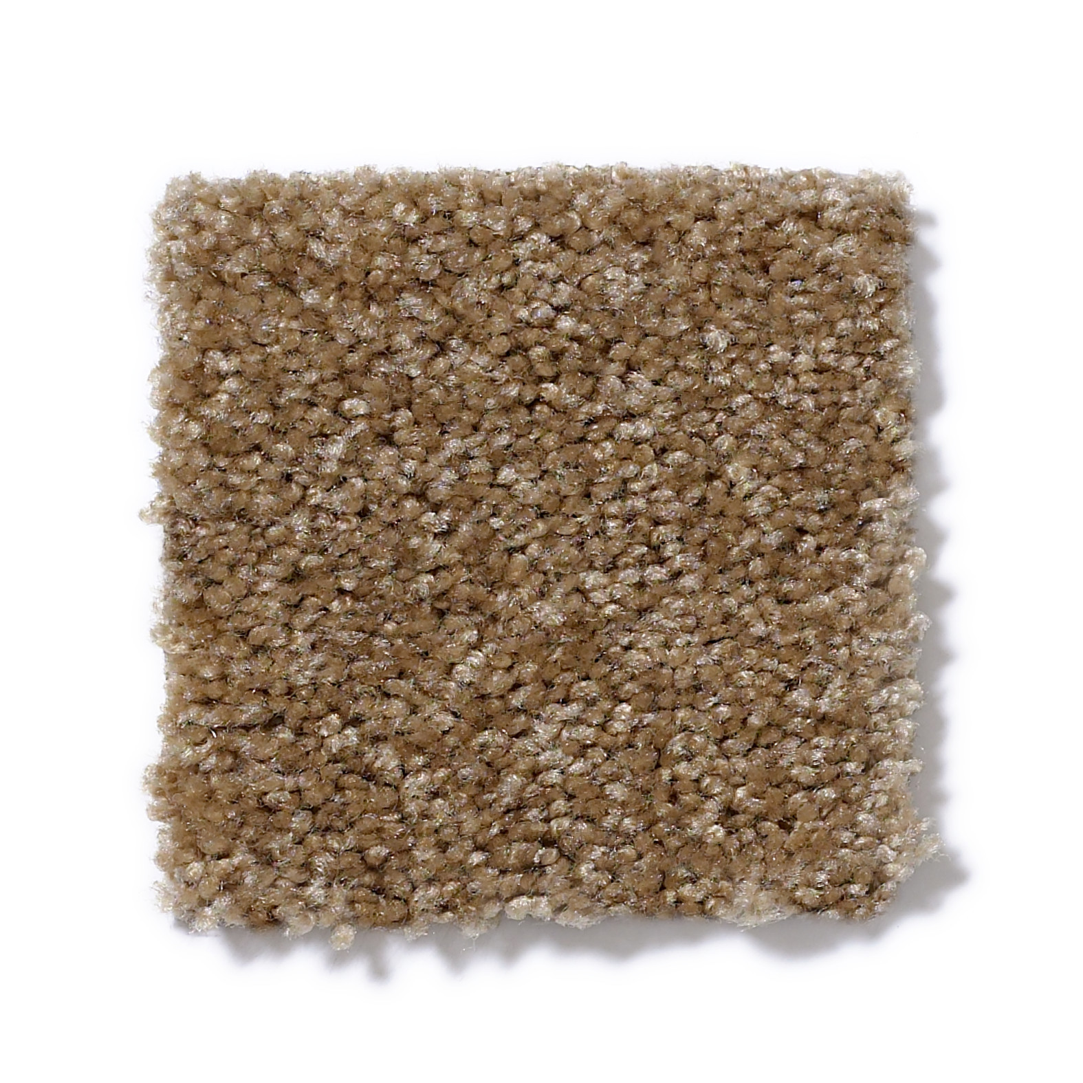 JET SET BRAIDED RUG SWATCH