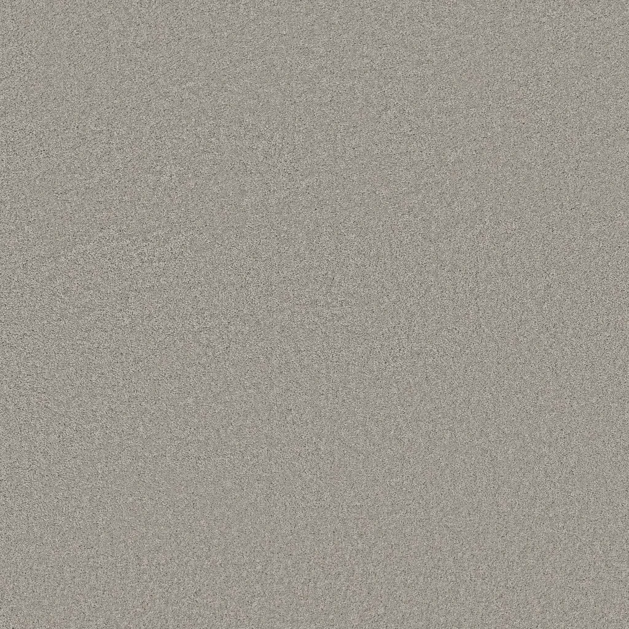 ELEGANT BEAUTY SUMMER RAIN MAIN