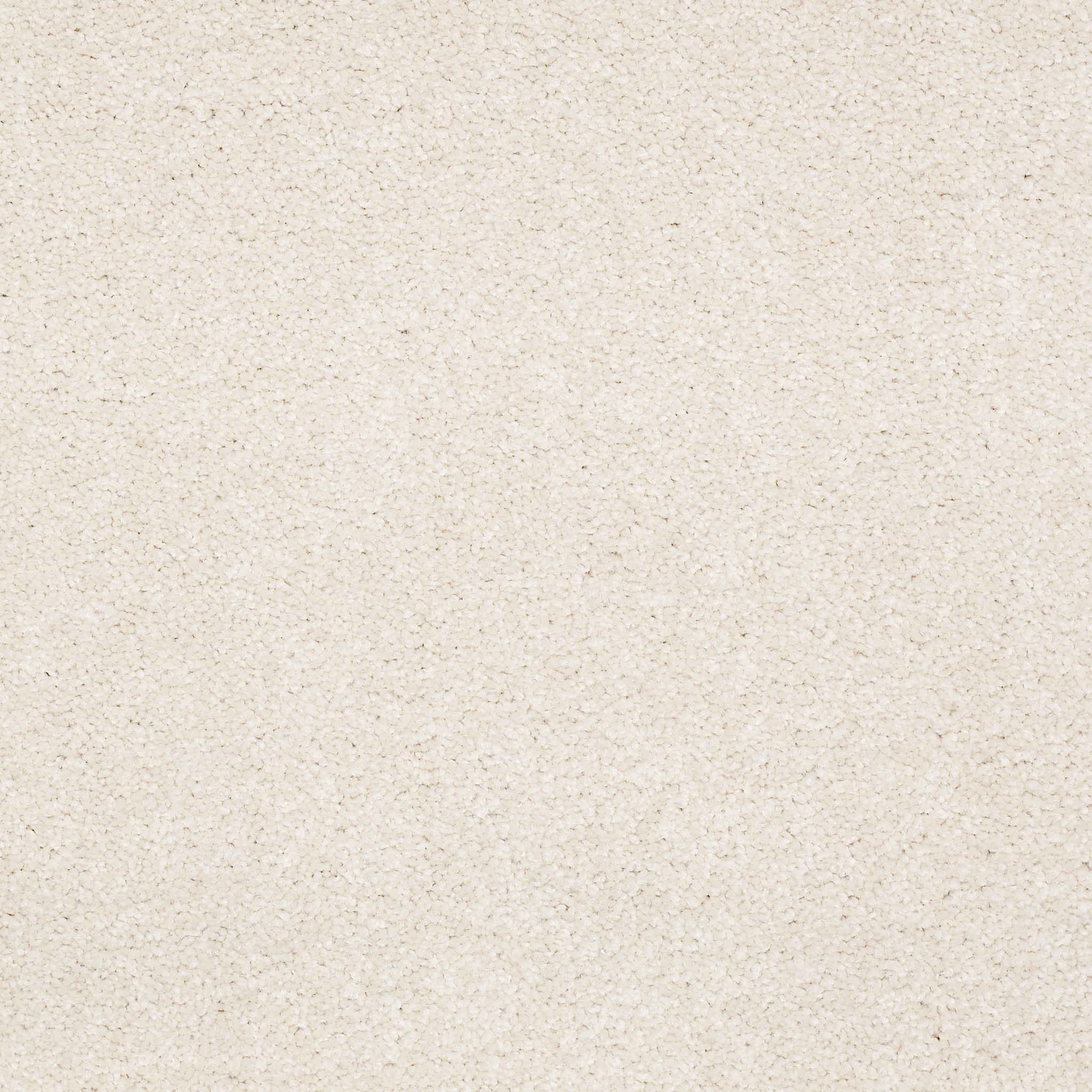 TIMELESS APPEAL III 12' MUSHROOM MAIN