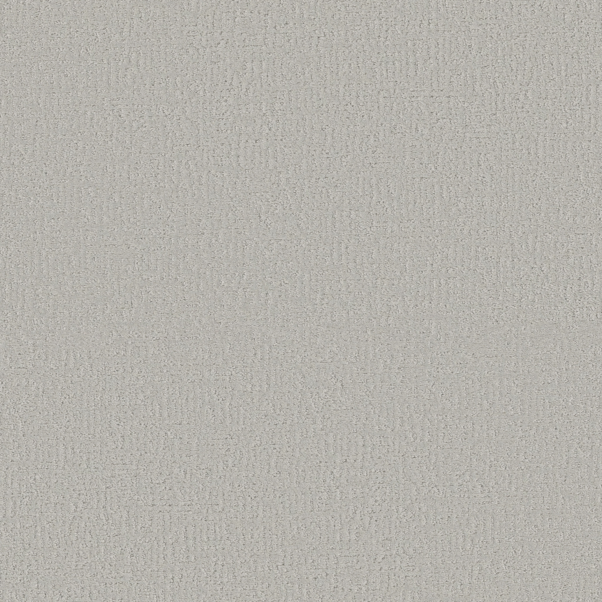 CLEVER DESIGN FOREST FOG MAIN