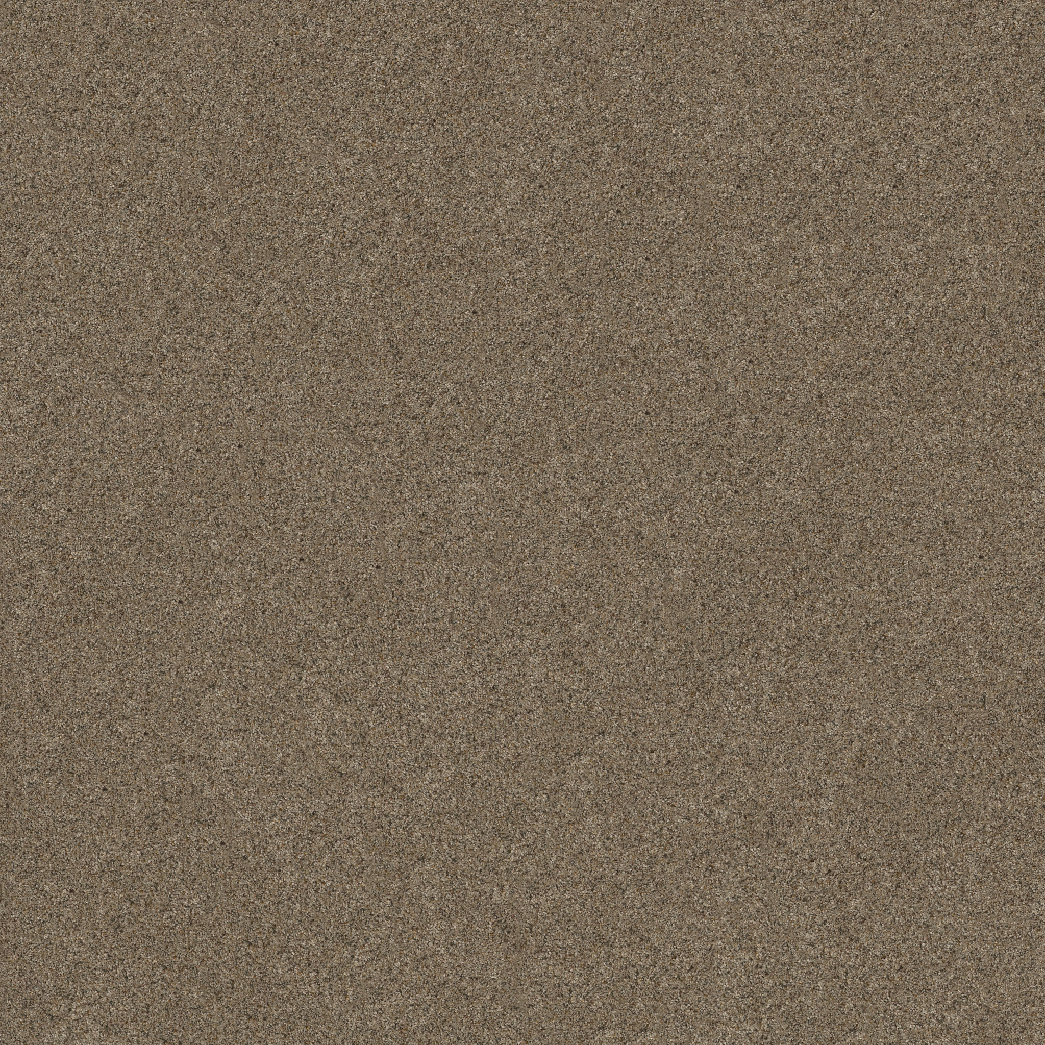 Topanga Canyon MORNING BLEND MAIN