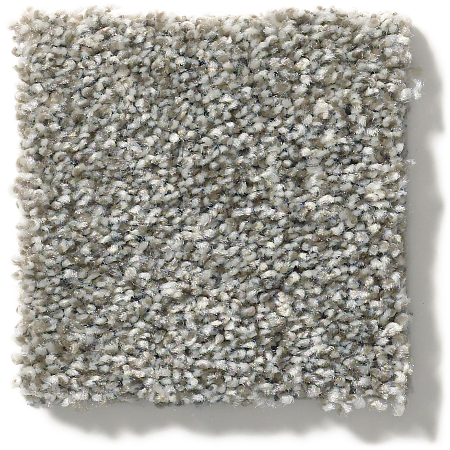 CABANA LIFE (T) WALKING TRAIL SWATCH