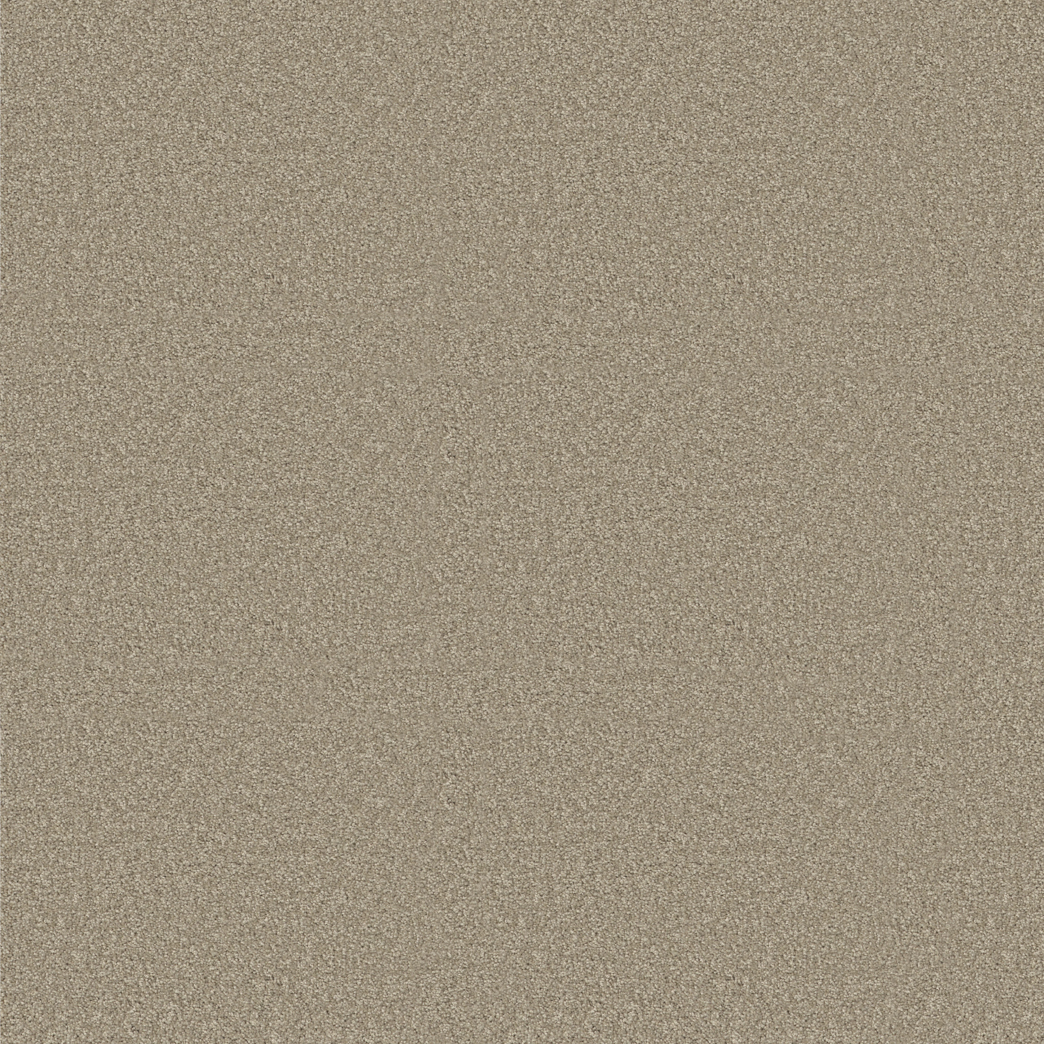 LUCKY YOU COASTAL FOG MAIN