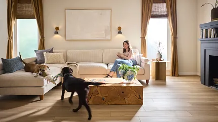 Coretec Residential WPC Luxury Vinyl Plank Flooring in Living Room - 48.03x7.09 inch Wood Look Planks living room with luxury vinyl plank floor in a wood look with a woman on a sofa with two dogs playing 4803x709 inch planks
