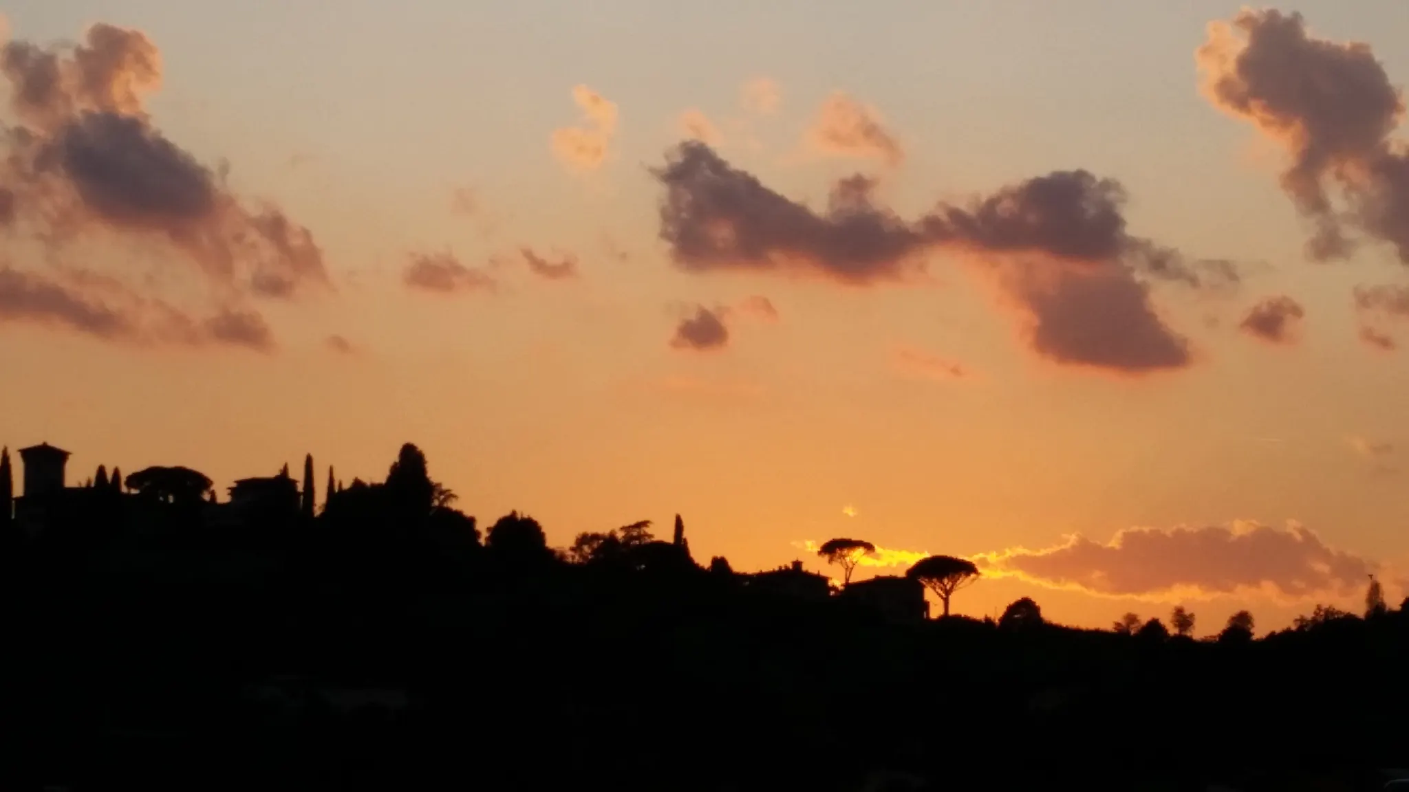 Where Do You Find Inspiration? - Zeftron Nylon 6