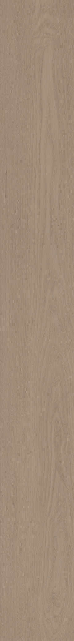 Tranquil Oak LVP Flooring | COREtec