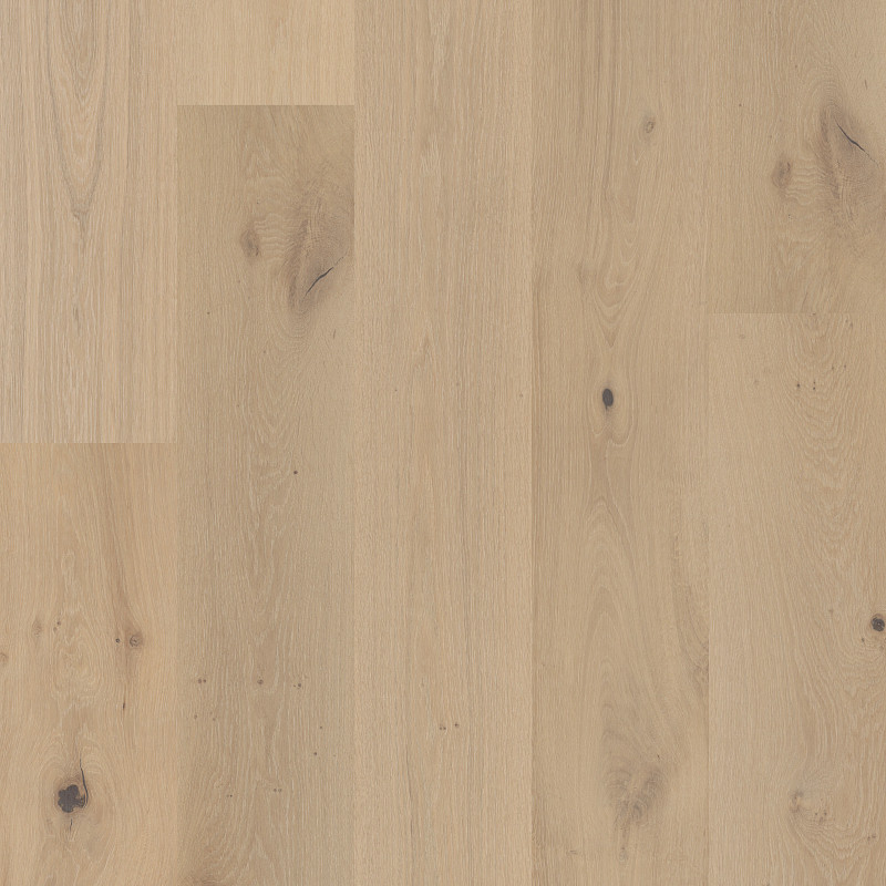 Heritage Oak in Cambric by Anderson Tuftex