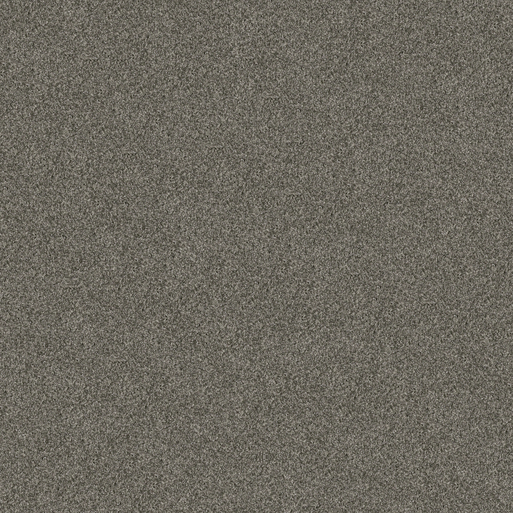 YES YOU CAN III 12' REROOTED NATURE MAIN