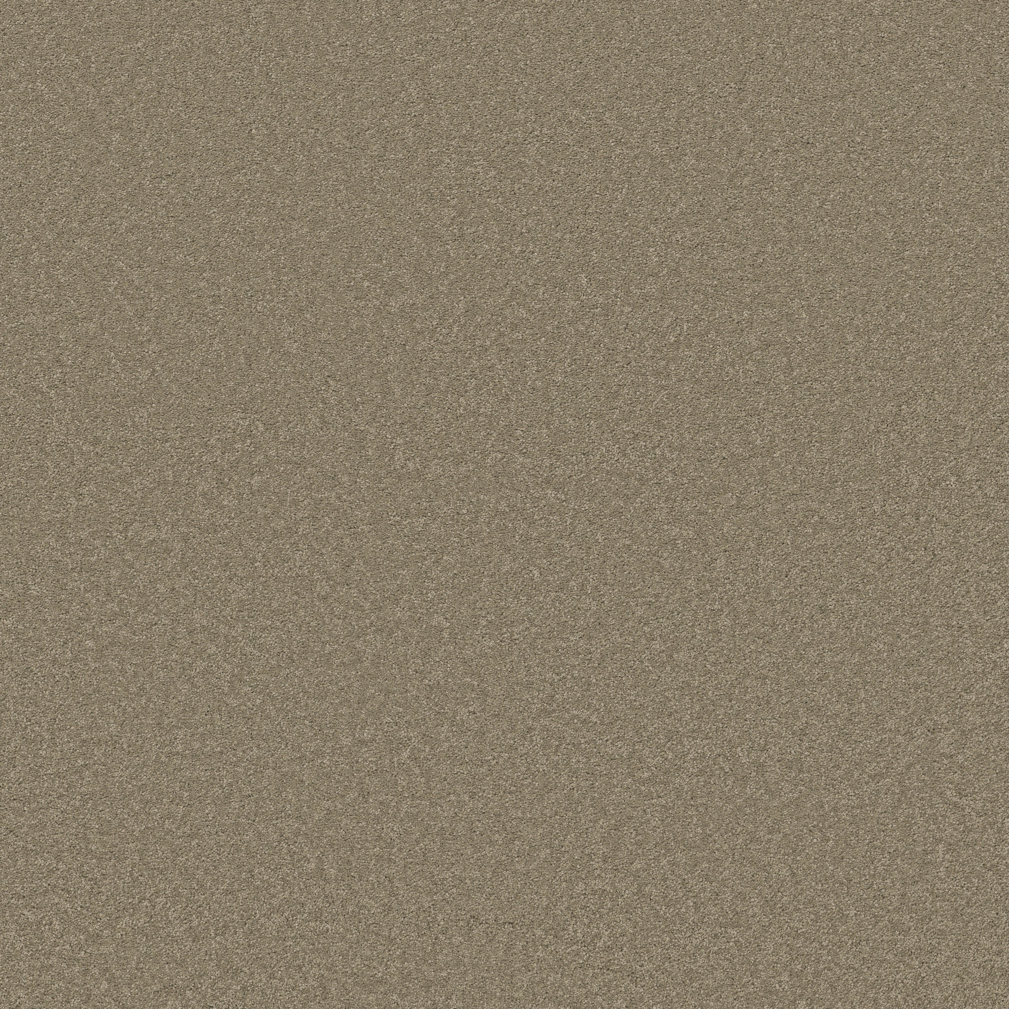 ELEGANT BEAUTY SLATE MAIN