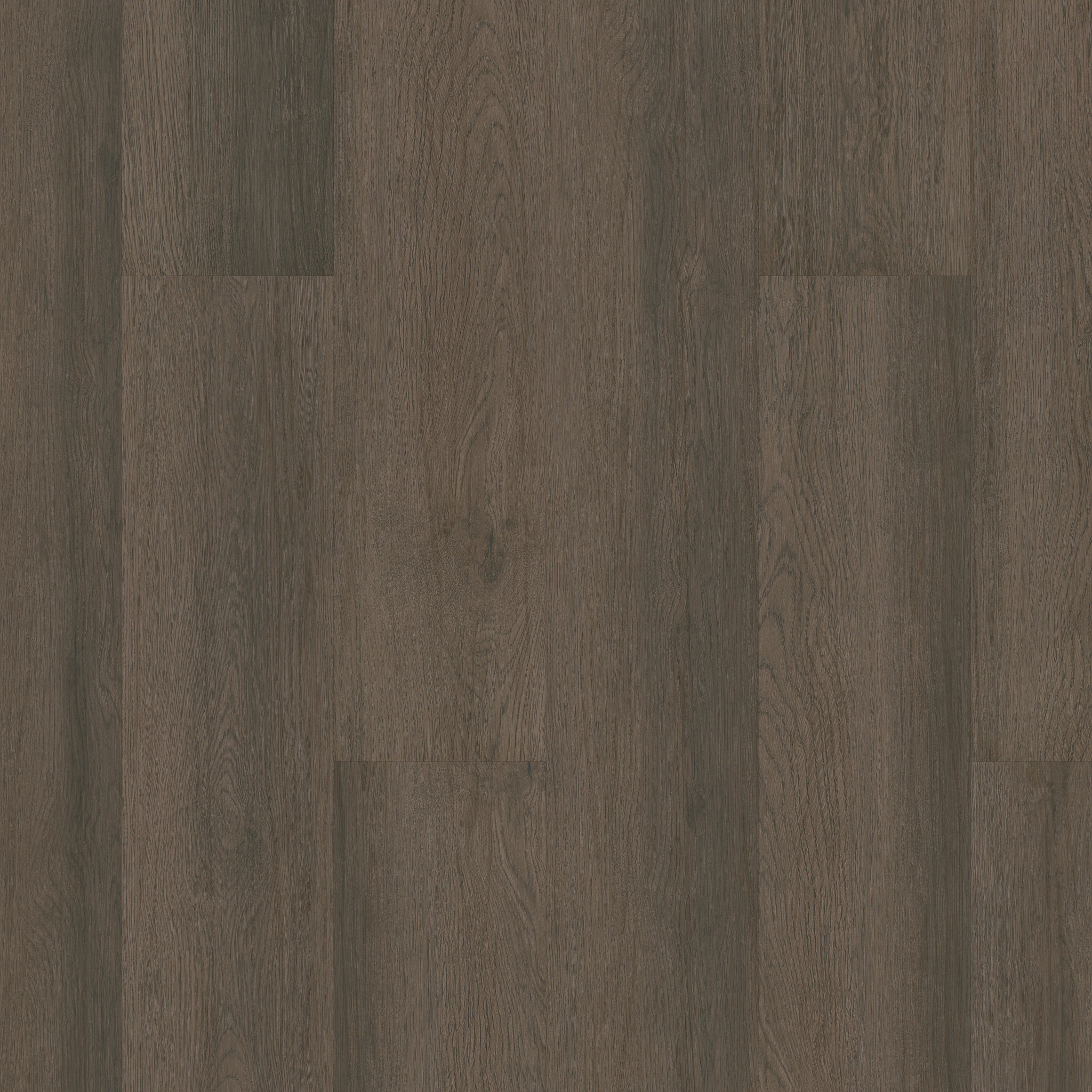 INFINITE 12 BOHEME BROWN MAIN