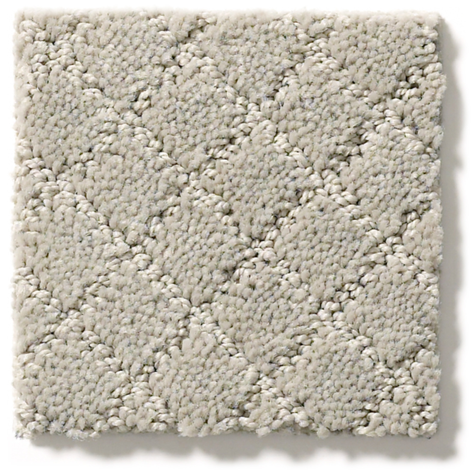 PAWNACHE SILVER FOX SWATCH