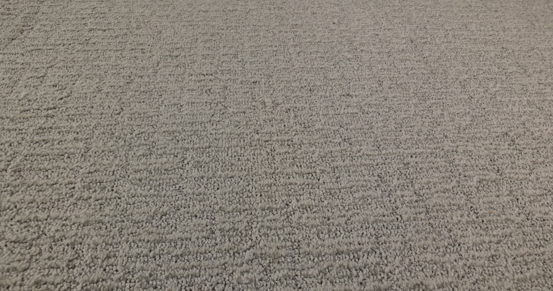 WANDERER SAGE 360PROD