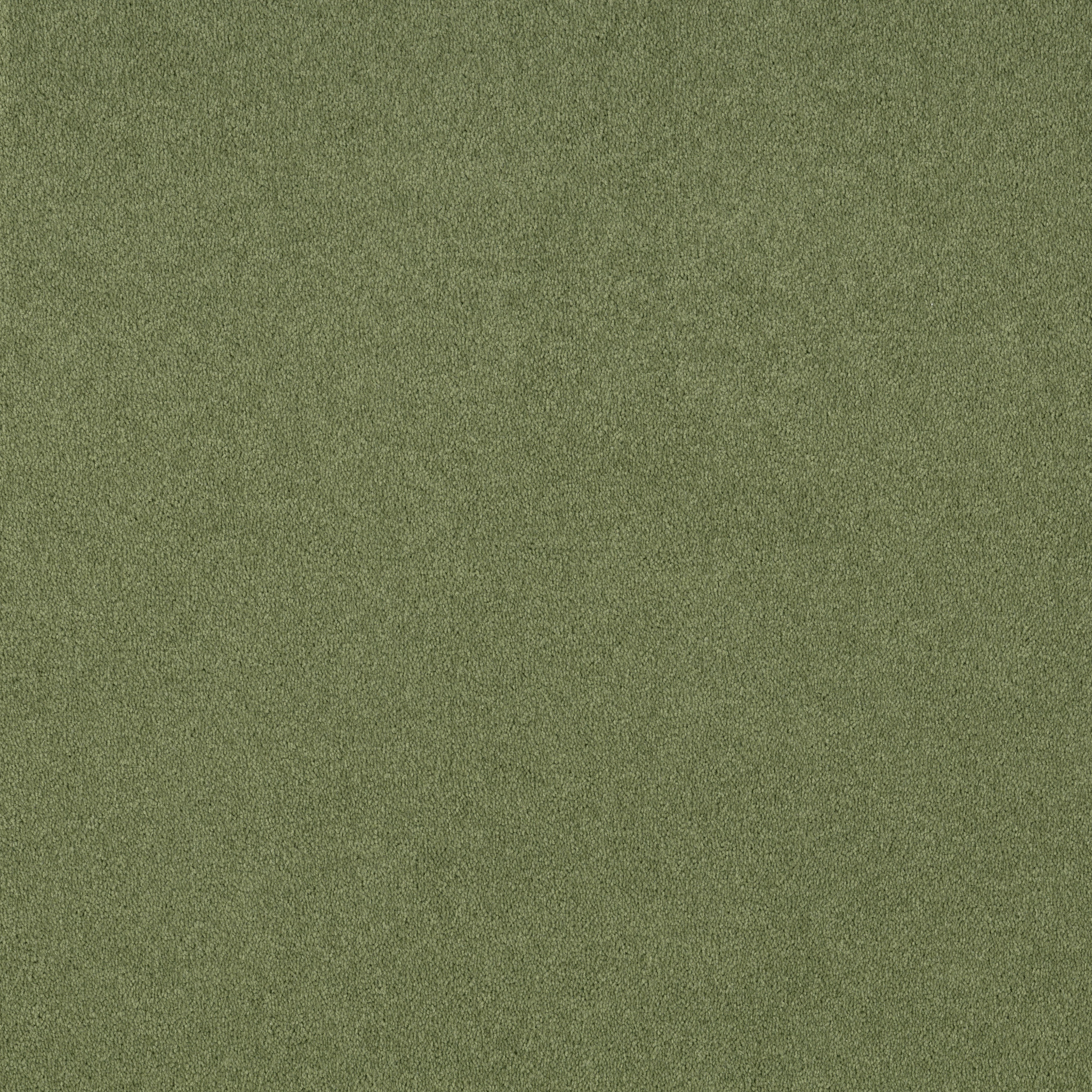 DYERSBURG CLASSIC 12' GOING GREEN MAIN