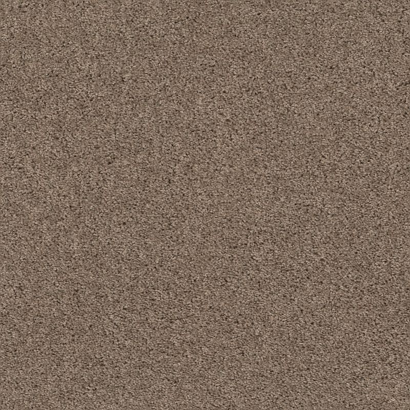 Xv442 XV442