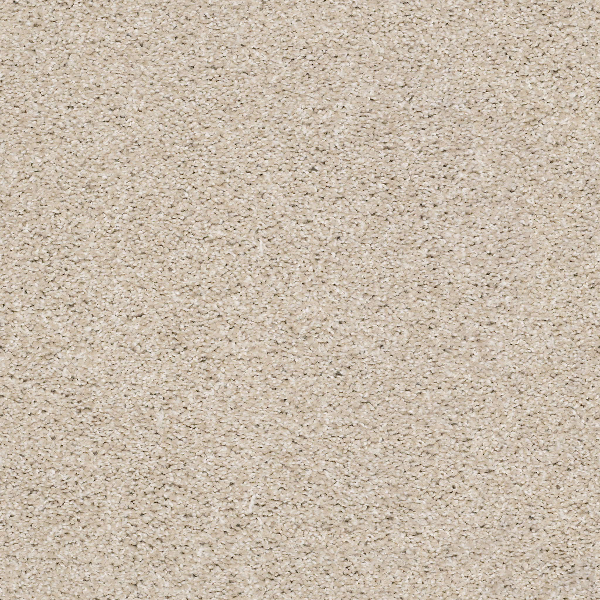 SUAVE FRENCH BUFF MAIN