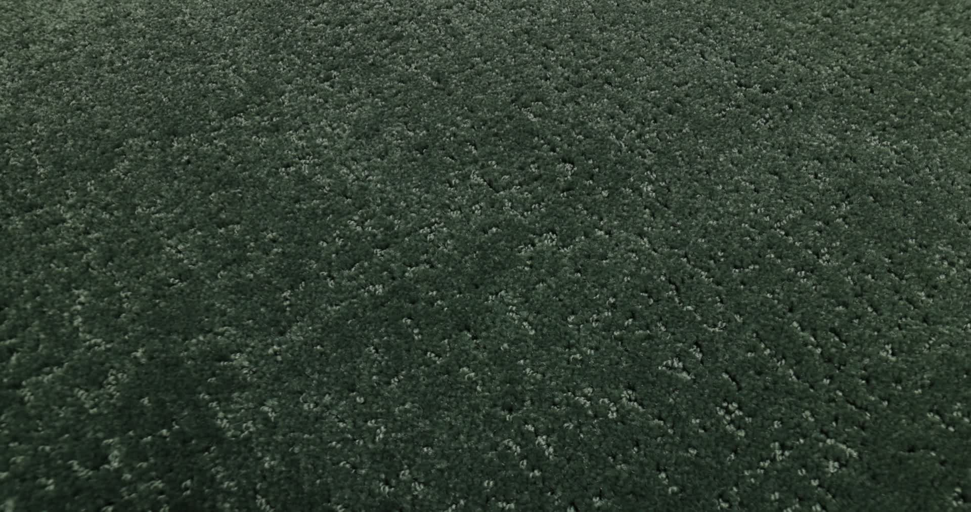 CANVAS COMFORT BLUE MAGNOLIA BRANCH 360PROD